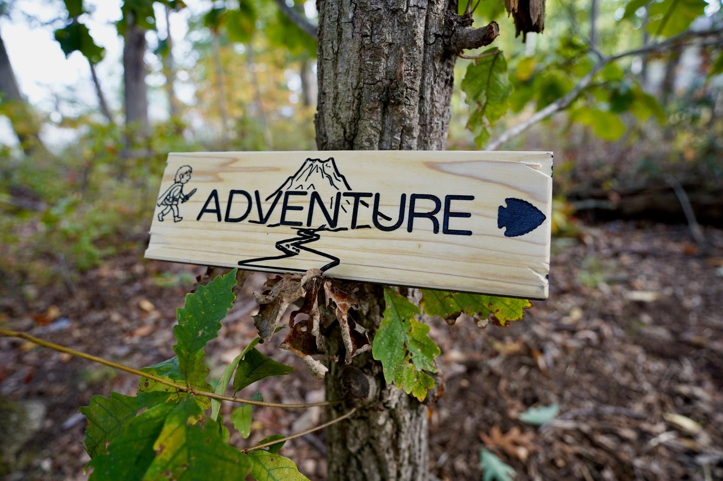 Trail Sign Collection