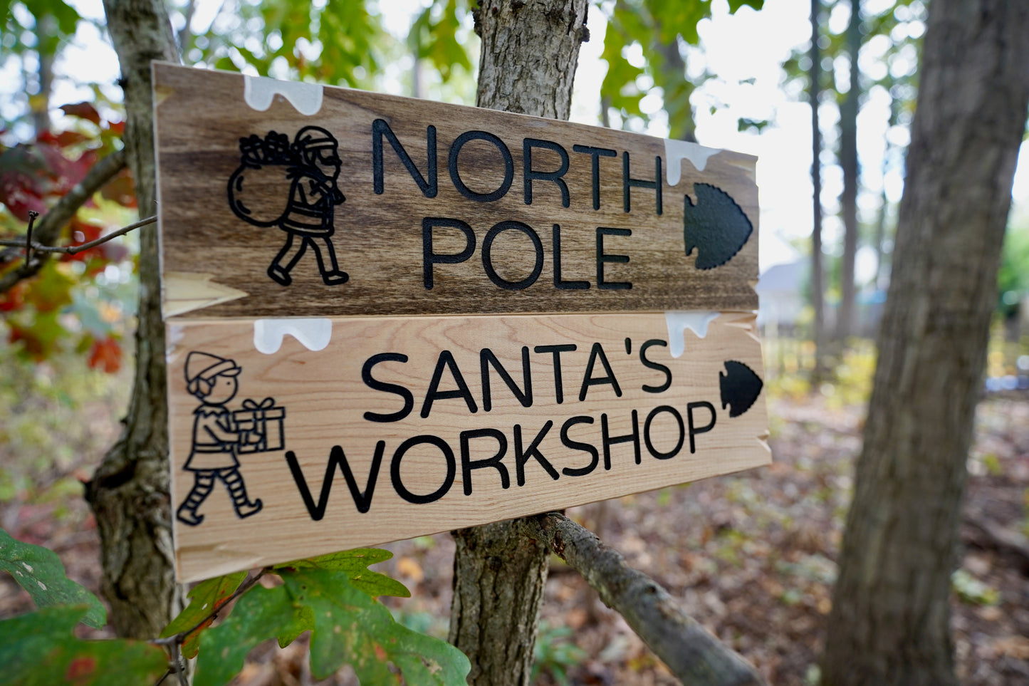 Trail Sign Collection