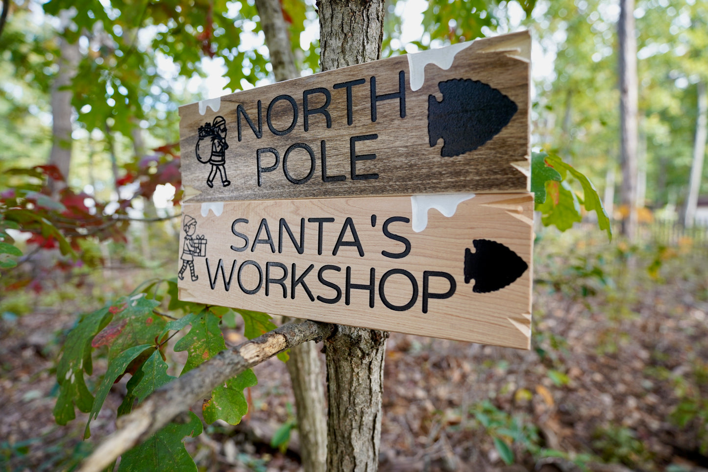 Trail Sign Collection