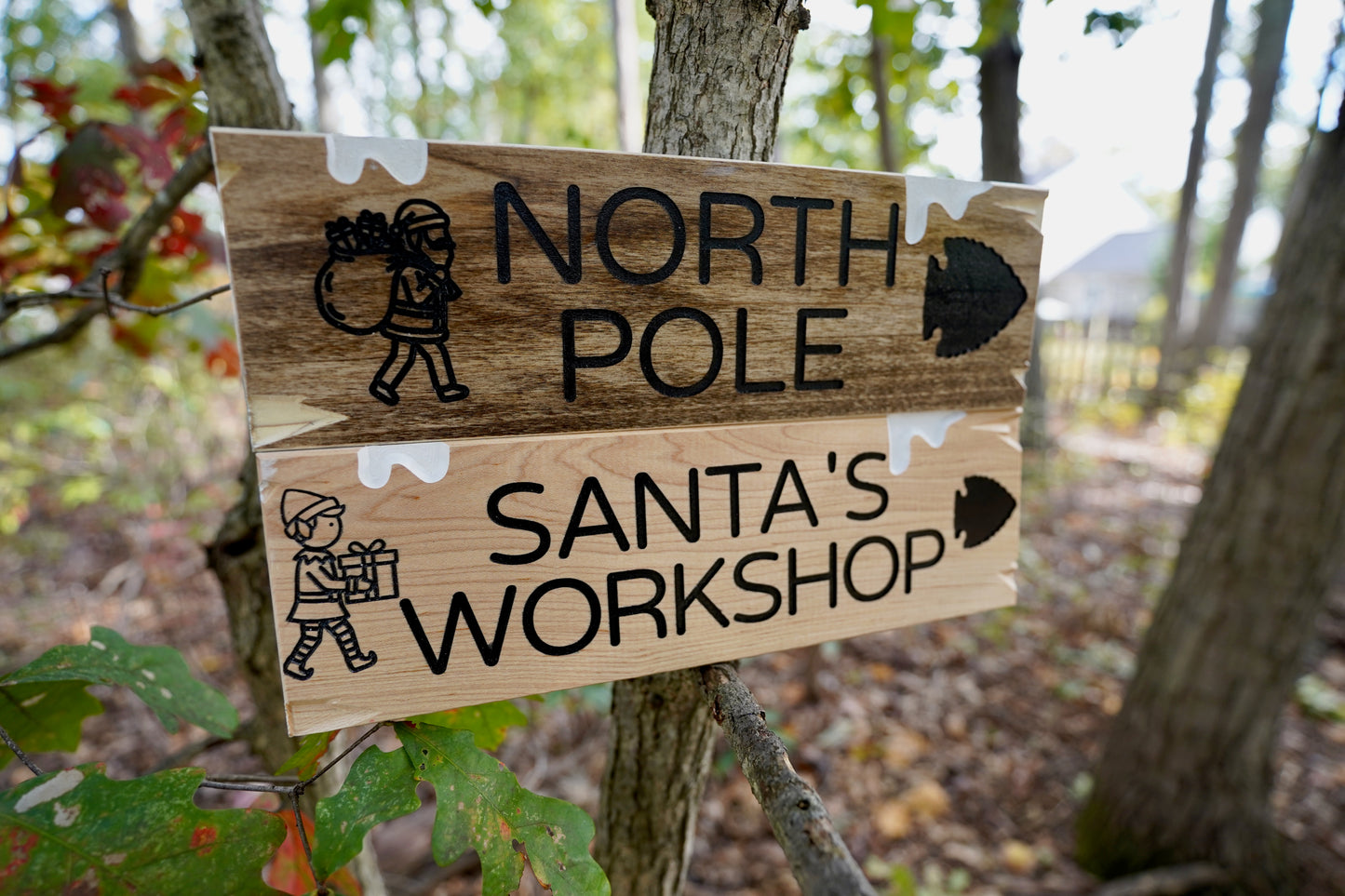 Trail Sign Collection