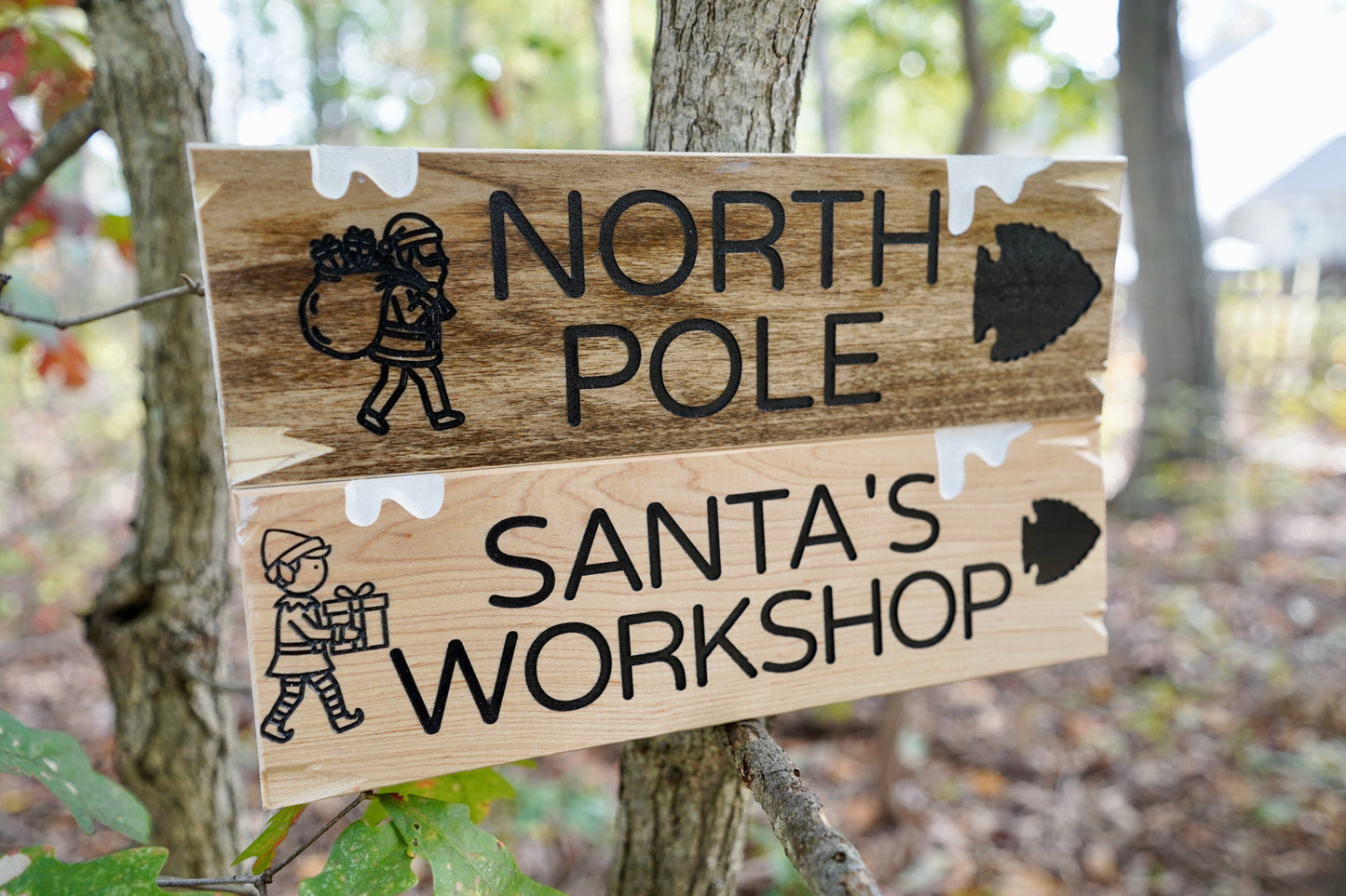 Trail Sign Collection