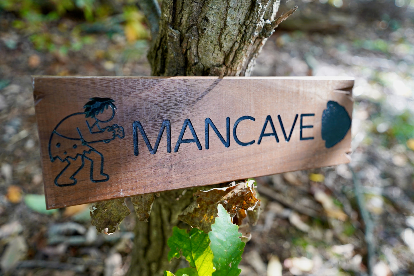 Trail Sign Collection